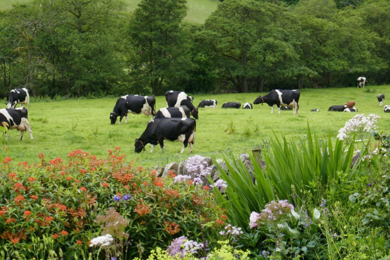 River View Knockraich Farm Fintry Экстерьер фото